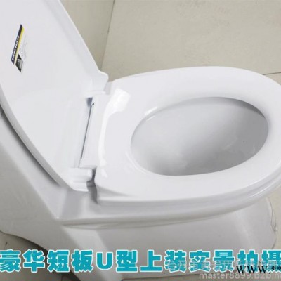 實(shí)力的注塑模具廠 提供**塑料智能馬桶蓋模具