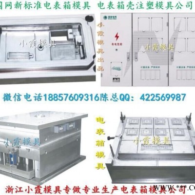 大型注塑模具 新國網三相九電表箱模具廠家地址